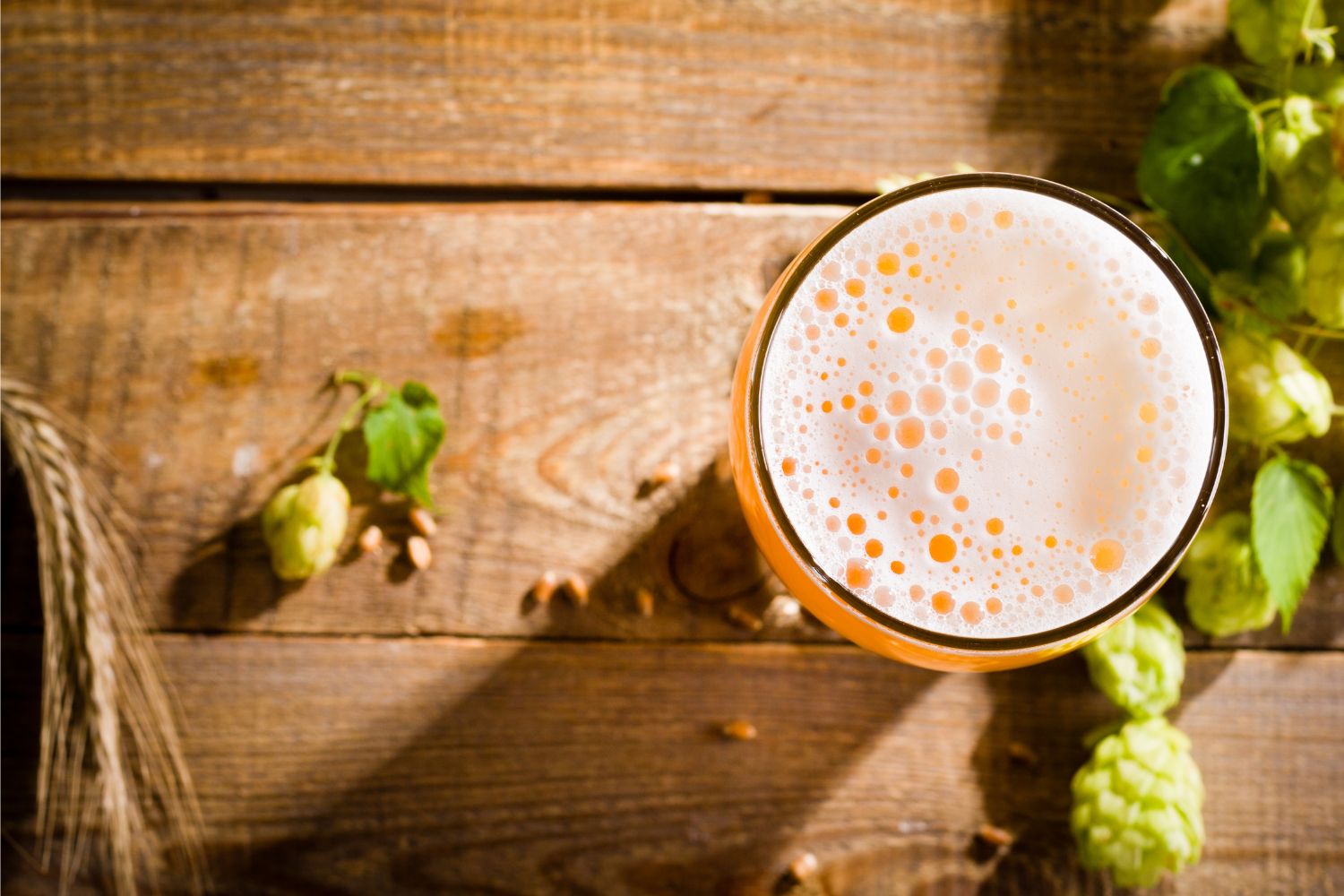 Beer barley hops