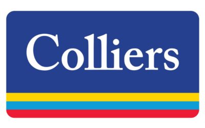 Colliers’ Webber: Government is out of touch with property markets