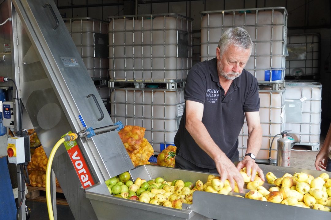 Fowey Valley apple sorting