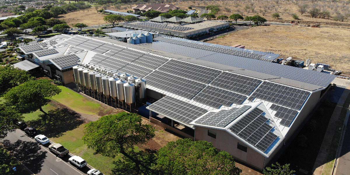 Laui solar panels