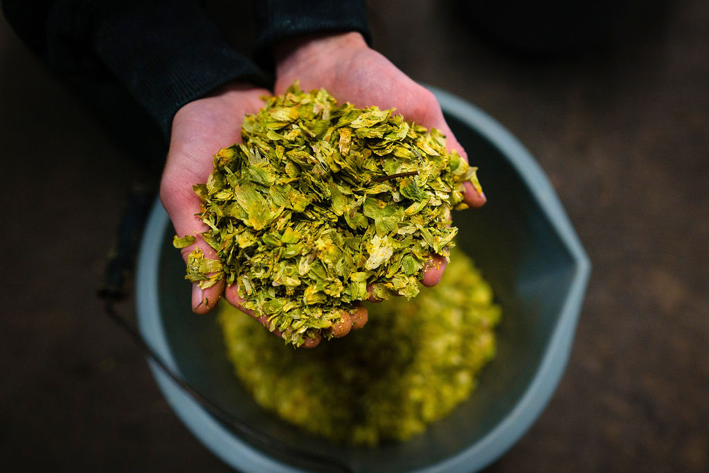 Skinner's hops
