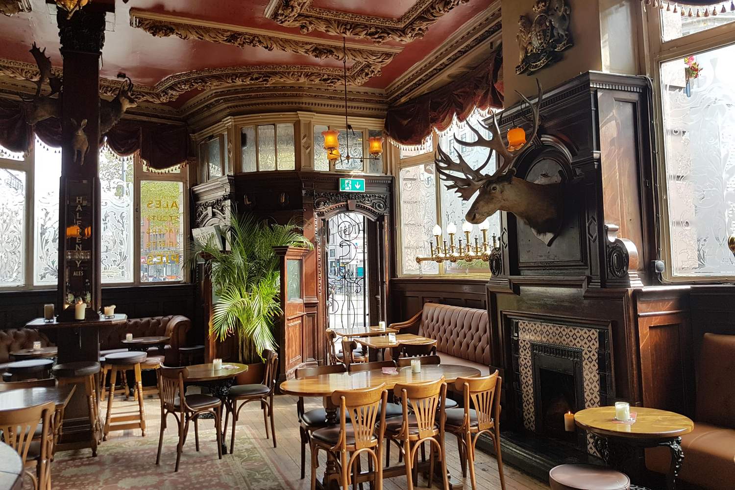 The Vines Liverpool